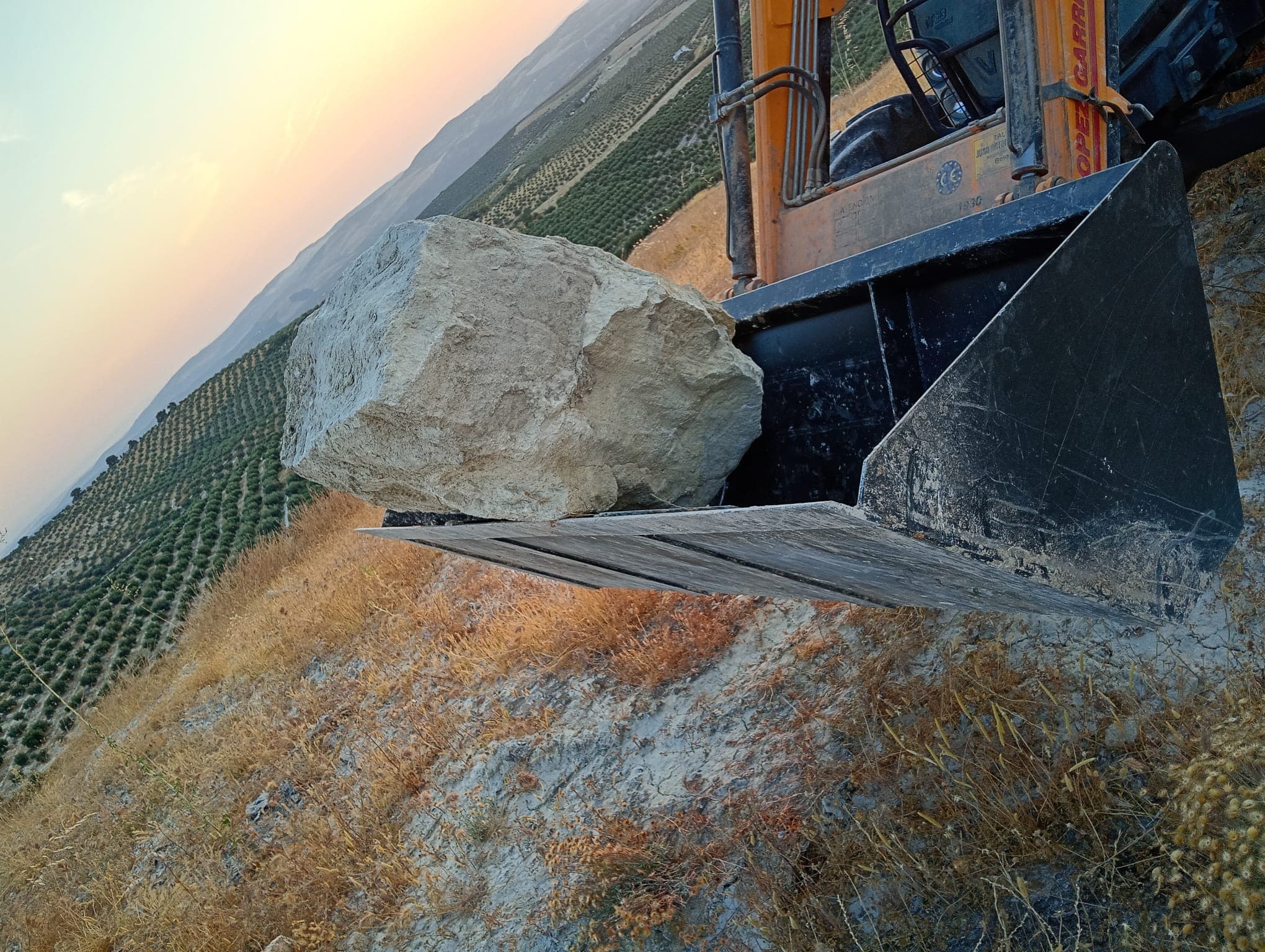 Retroexcavadora moviendo una piedra en el olivar