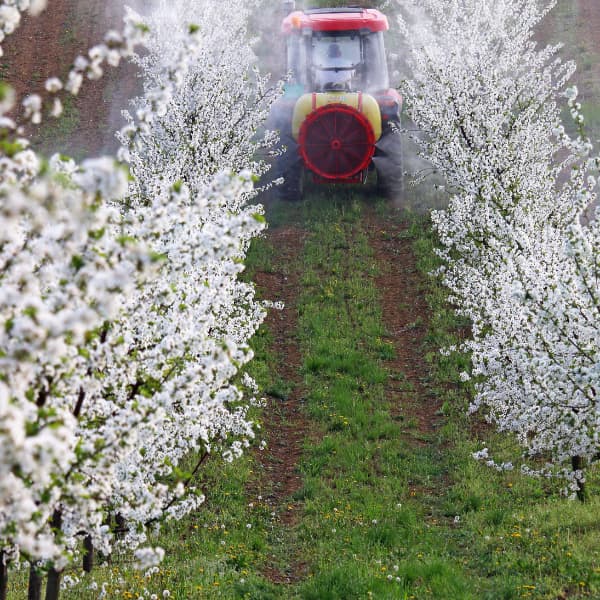 Atomizadora ajustada para tratamientos en el olivar