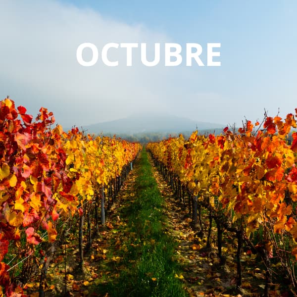 Puesta a punto de maquinaria en octubre