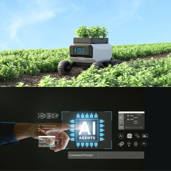 Automatización e inteligencia artificial en el sector agrícola